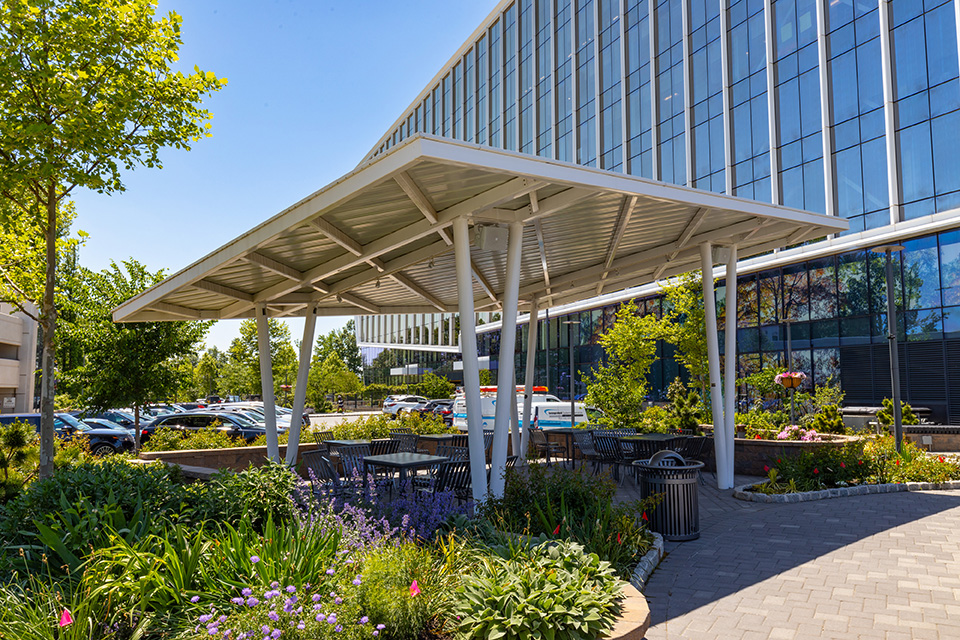 Enhancing Employee Well-Being at Corporate Commons Three